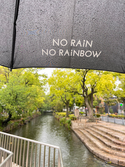 NO RAIN, NO RAINBOW